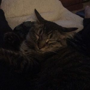 Meet your Posher, Donna